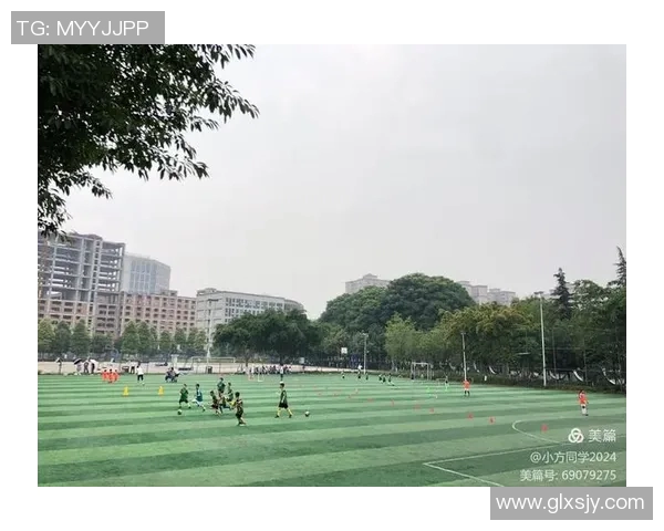 杭州篮球队实力揭秘:从青训到职业联赛的全景分析与展望